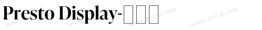 Presto Display字体转换 Presto Display字体转换